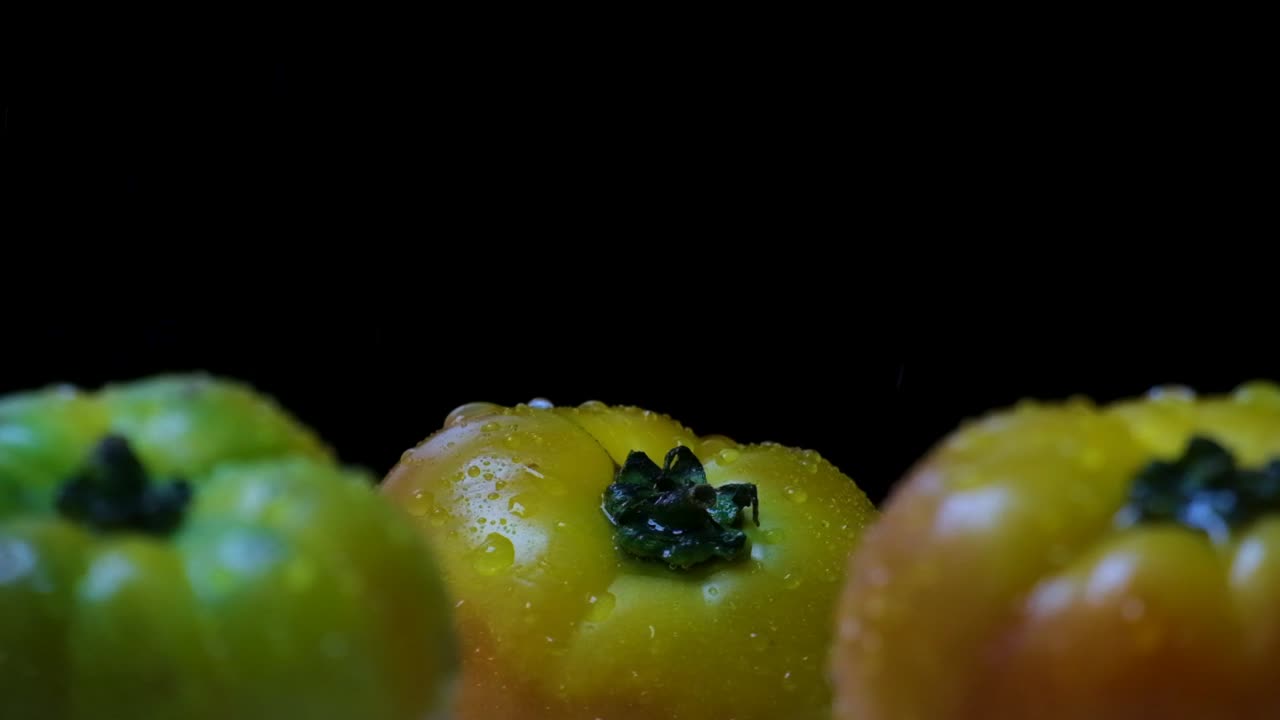 gotas de agua salpican sobre los tomates de reliquia en fondo negro