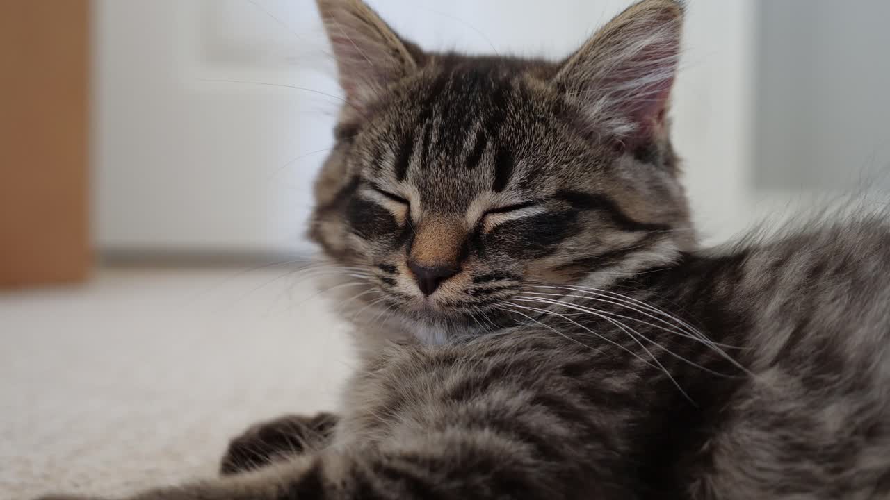 tristeza depresión cansancio debilidad desesperanza malestar