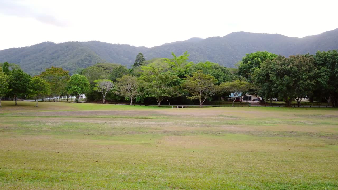 Trees in an open grass field with mountains in the background