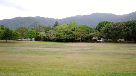 árboles en un campo de césped abierto con montañas en el fondo