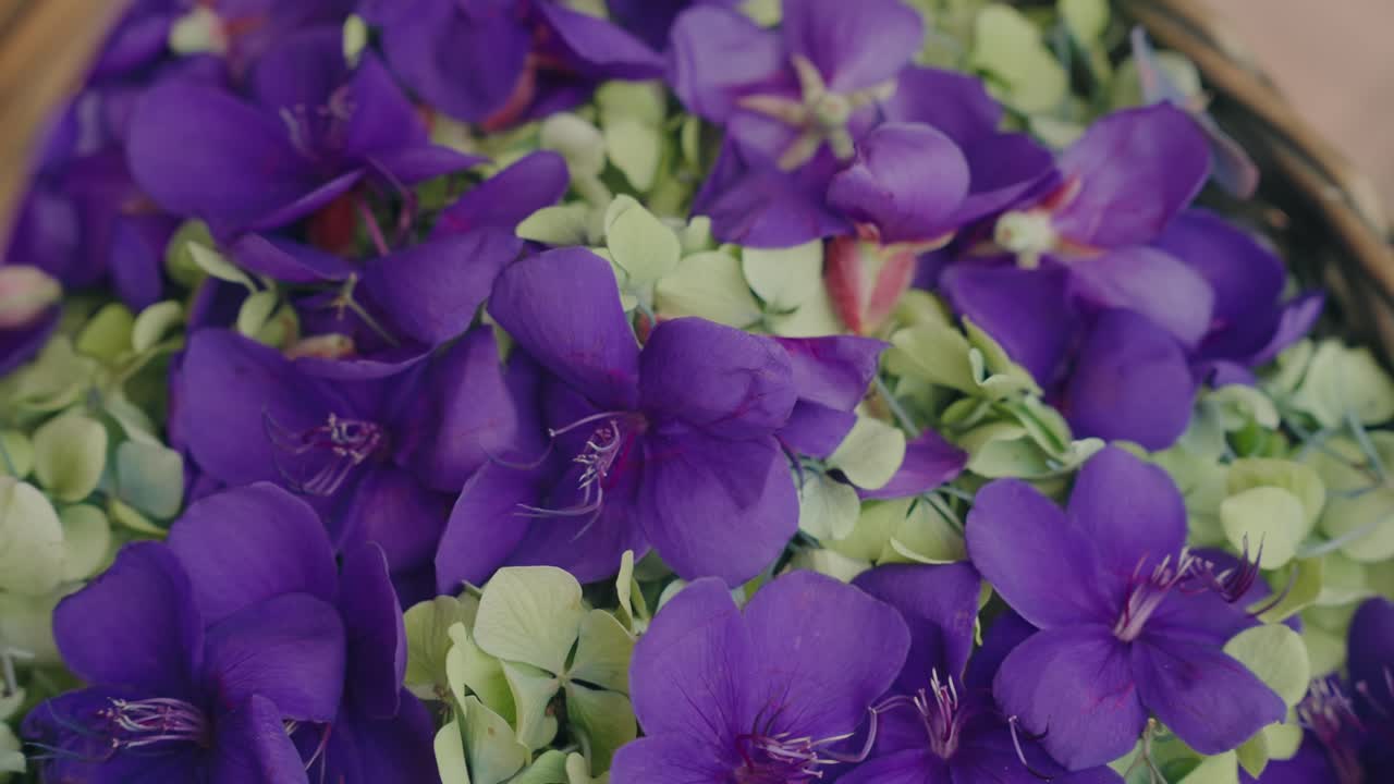Vista dettagliata di fiori viola e petali che riempiono l'inquadratura