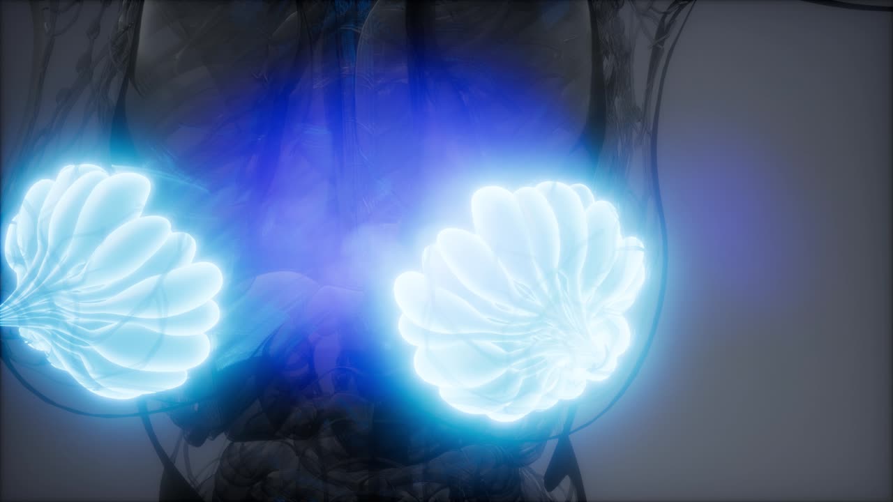 비만 여성의 유방선에 대한 의학적으로 정확한 그림