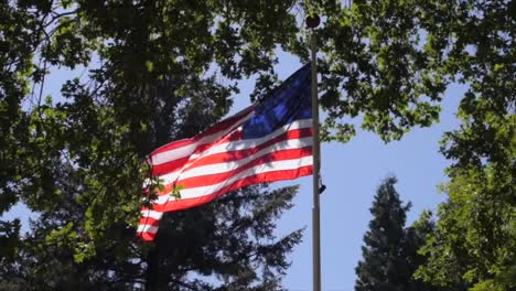 American-flag-waving-among-large-green-trees-and-blue-sky