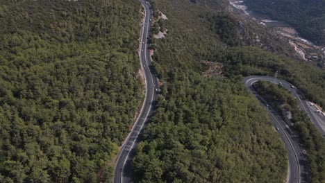 autopista bordeada de árboles