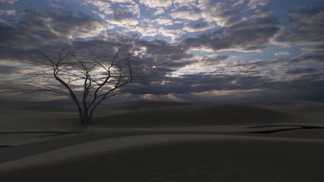 a lone tree in a desert landscape at sunset