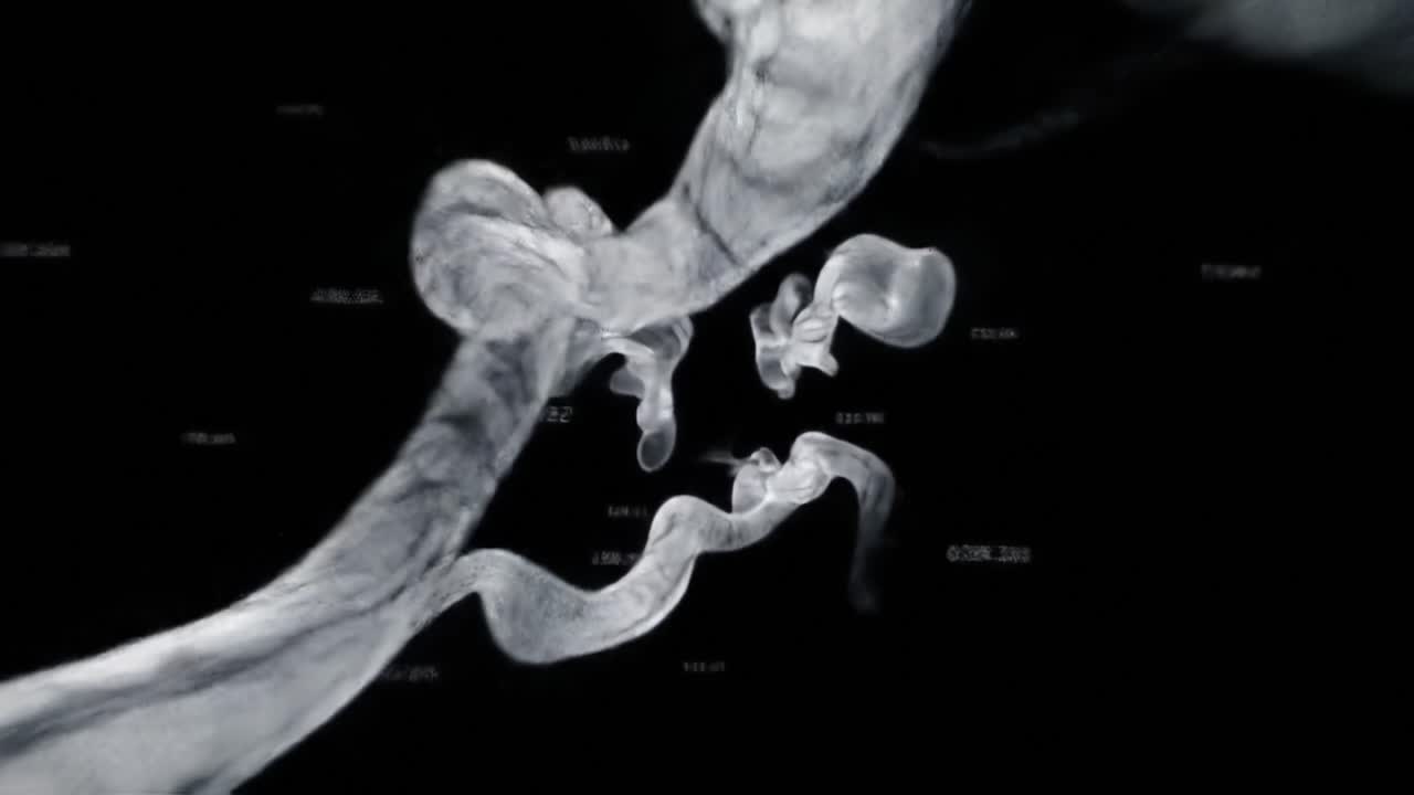 Experience the fascinating world of fluid dynamics as complex movements flow seamlessly. This captivating exploration reveals the beauty of natural phenomena in motion.