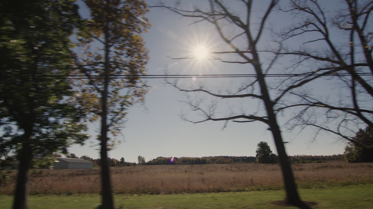 солнце светит сквозь деревья, освещая поля вдоль дороги. прекрасный пейзаж из окна автомобиля - вид на сельскохозяйственный район в сша.