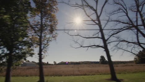 el sol brilla a través de los árboles, iluminando los campos a lo largo de la carretera. hermoso paisaje desde la ventana de un coche en marcha - una vista de una zona agrícola en los estados unidos.