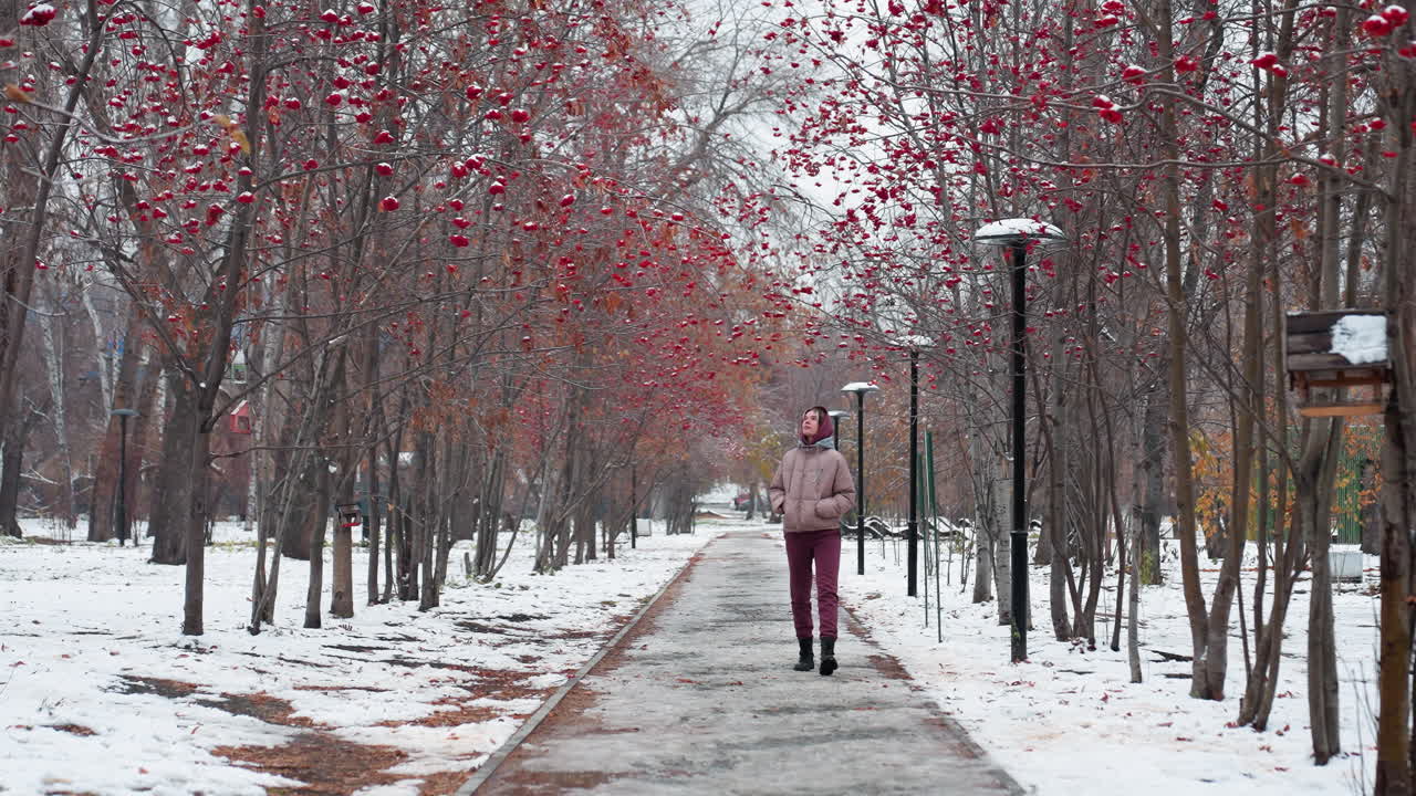 Giovane ragazza in abito invernale cammina lungo un sentiero innevato del parco fiancheggiato da alberi con bacche rosse, guardandosi intorno in modo contemplativo, passeggia con le mani in tasca.