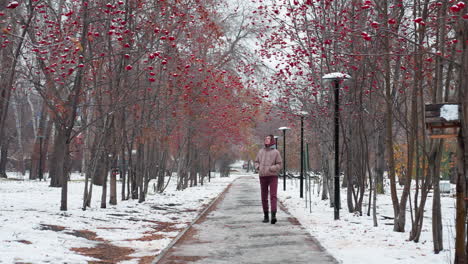 young girl in winter outfit walks along a snowy park path lined with red berry trees, looking around contemplatively, she strolls with hands in pockets