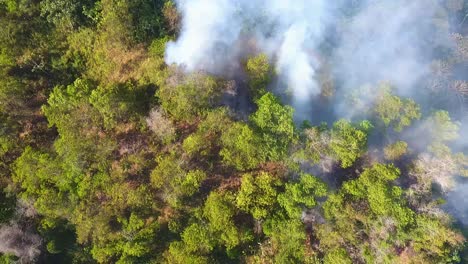 aerial view around a wildfire endangering the countryside of africa - rising, drone shot