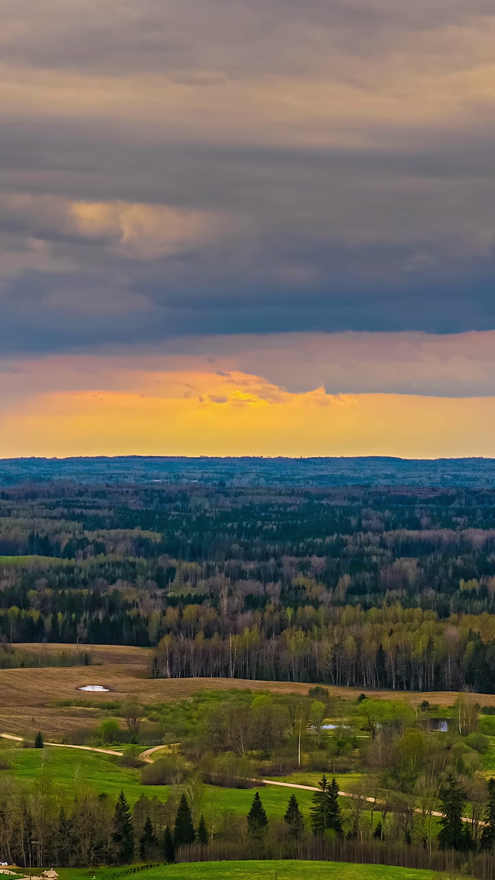 Colorful sunset over dense forest with dramatic clouds and tranquil mood