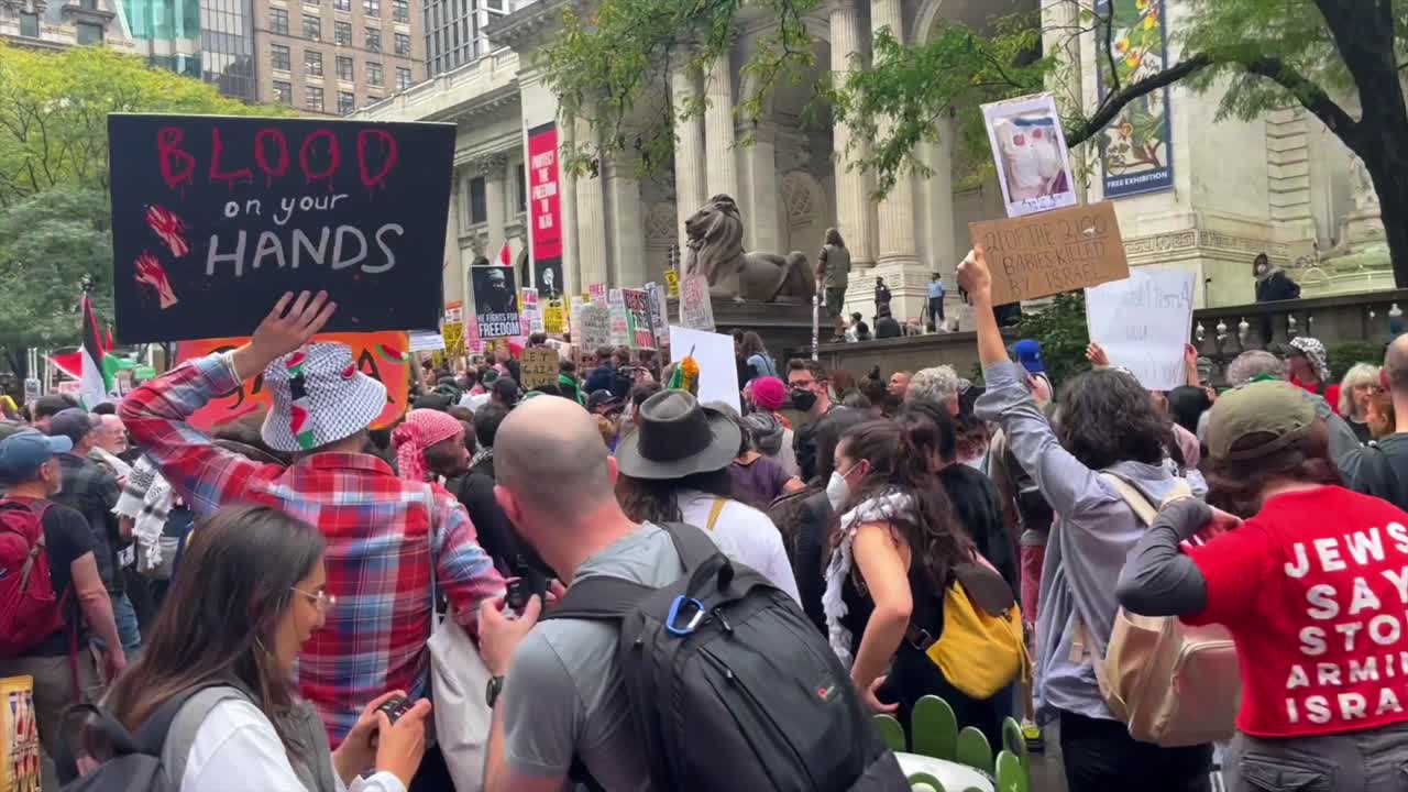 Protesters wave Palestine flags at anti war demonstration in front of New York City Public Library against Israel Hamas war
