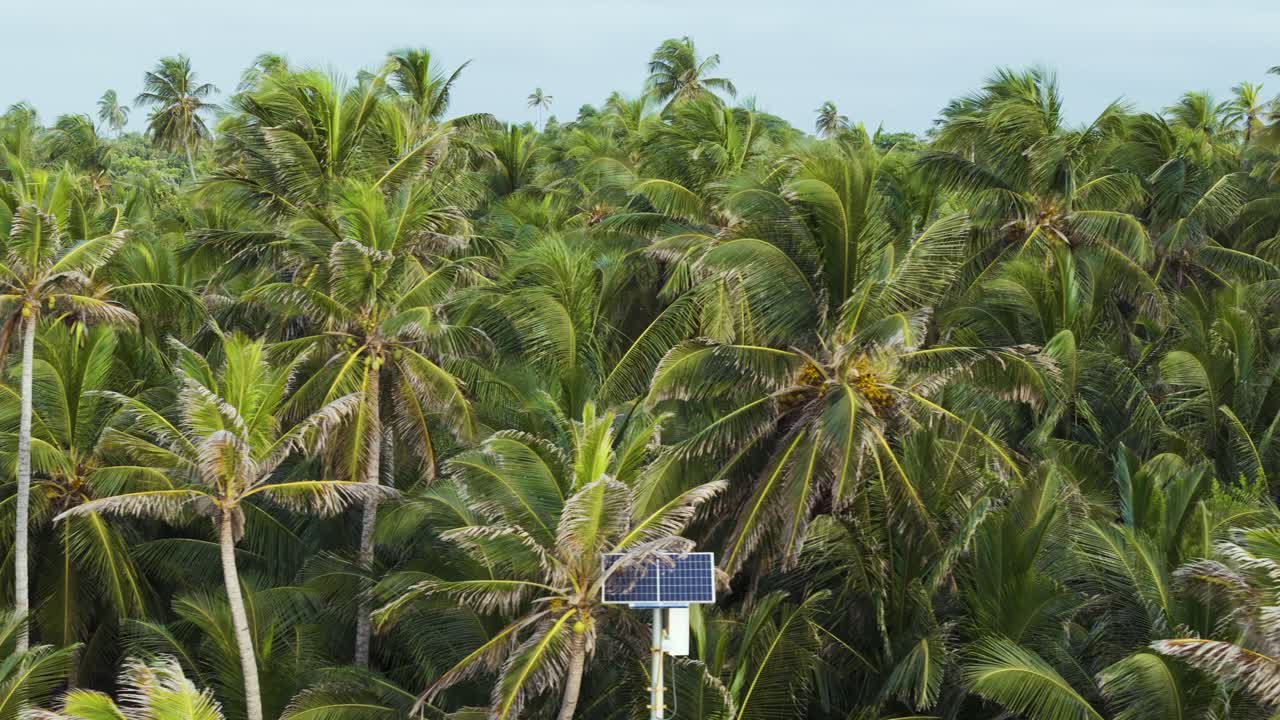 panel solar en el bosque tropical de palmeras de coco, aéreo