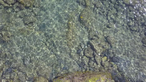 superficie clara y transparente del mar en el día de verano