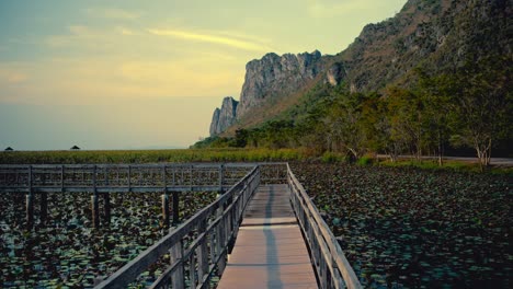 boardwalk between the mountains and the marsh in khao sam roi yot national park in thailand