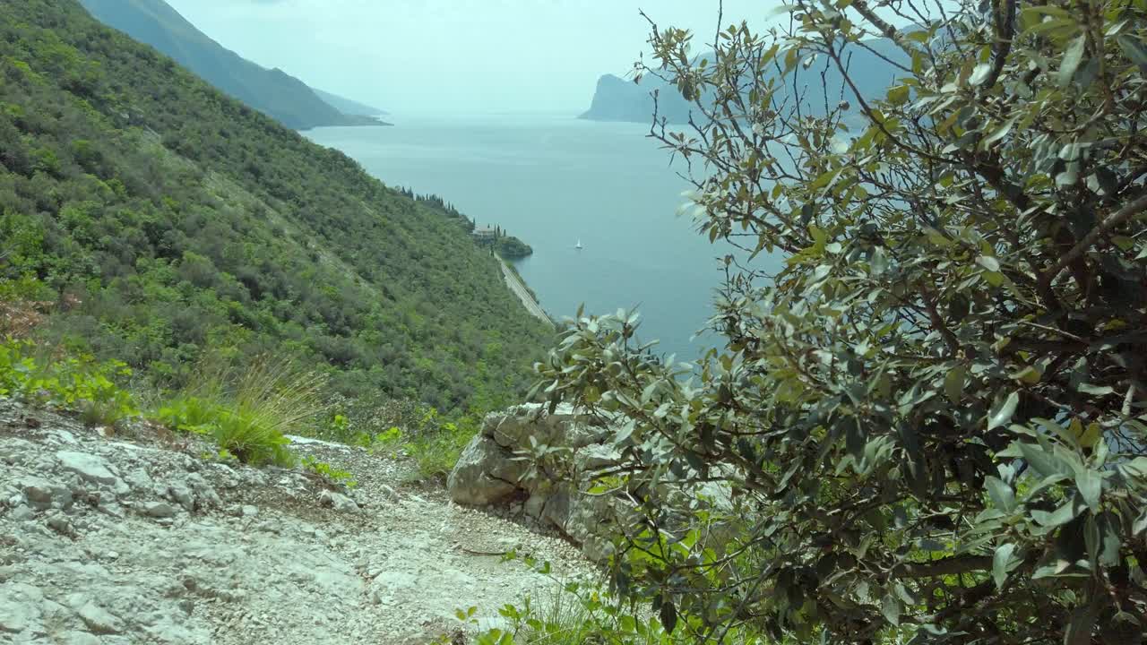Lago di Garda che si intravede dietro un cespuglio