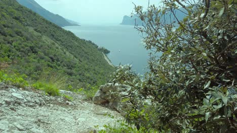 Lago-De-Garda-Revelado-Detrás-De-Un-Arbusto