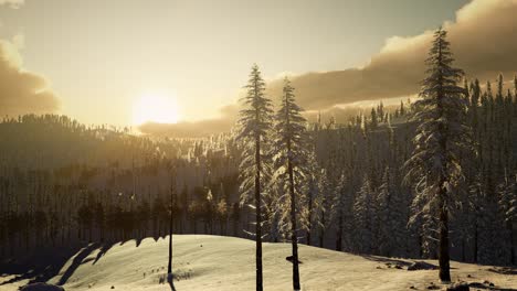 Fantástico-Paisaje-De-Invierno-Por-La-Noche