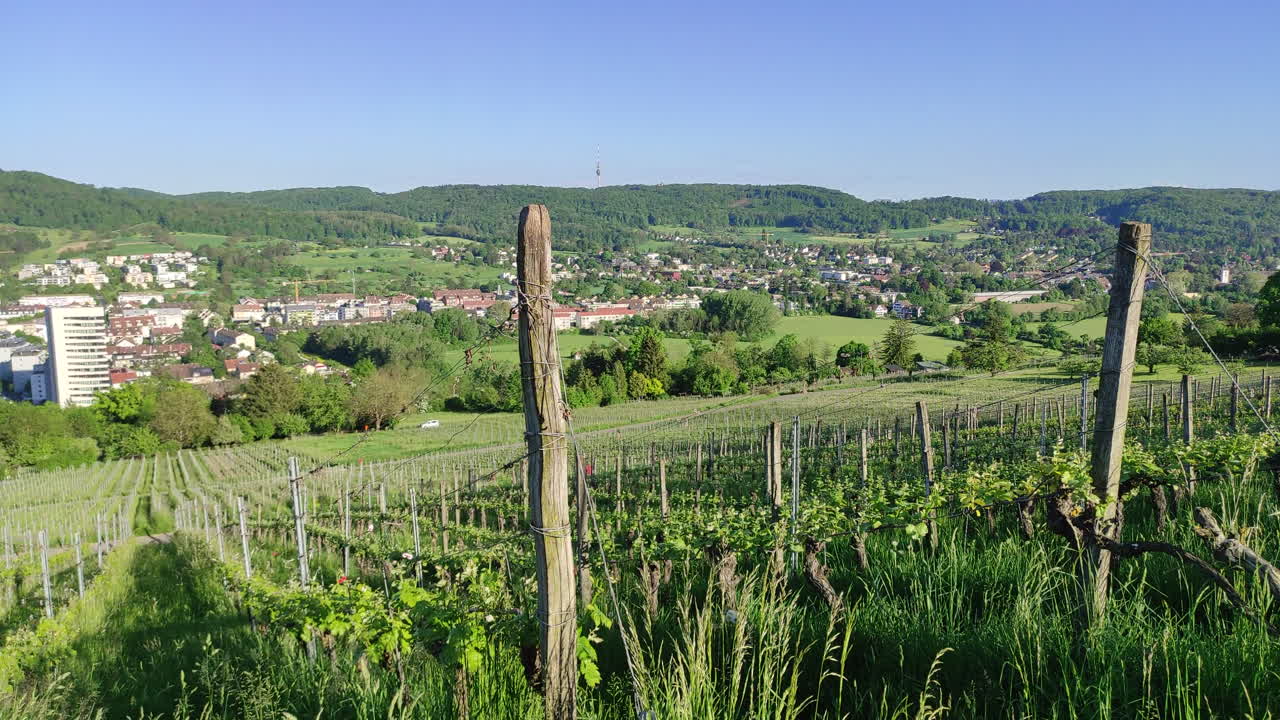 Vineyards overlooking the city of Loerrach, Germany. Panning shot.