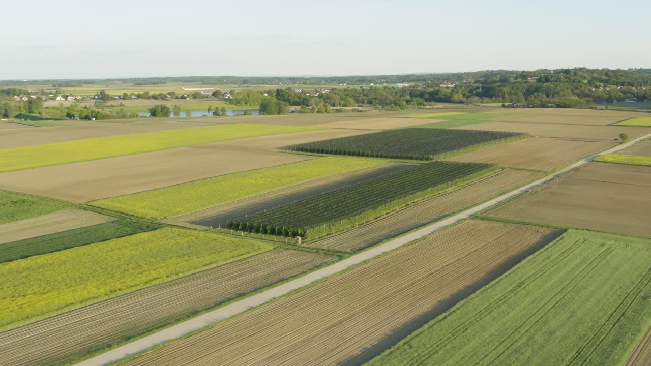 크로아티아 크르크 섬의 광대하고 아름다운 농장 풍경 - 드론 샷