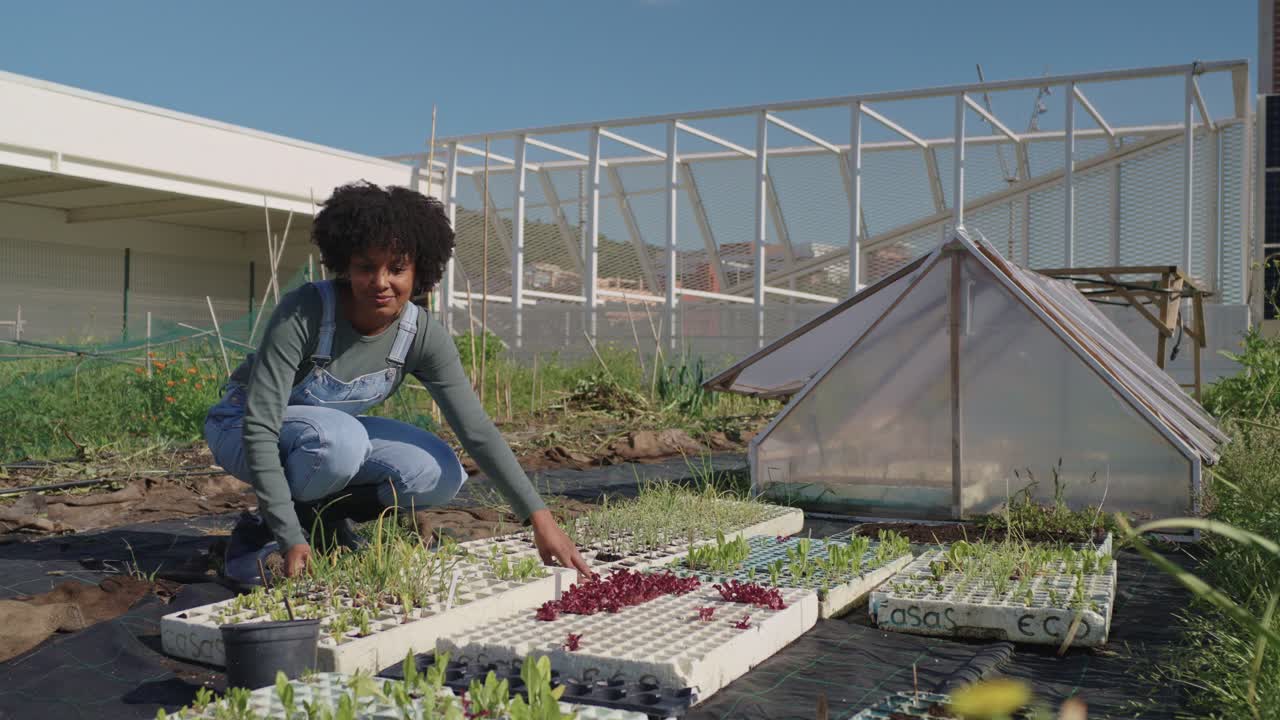 Woman tending to seedlings in a greenhouse