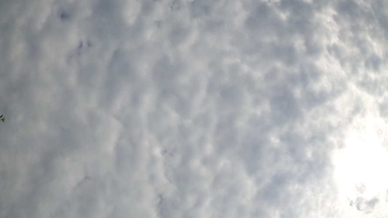 Stratus clouds spreading all over the sky. Rainy cloudscape formation in the atmosphere. Low angle view. Timelapse.