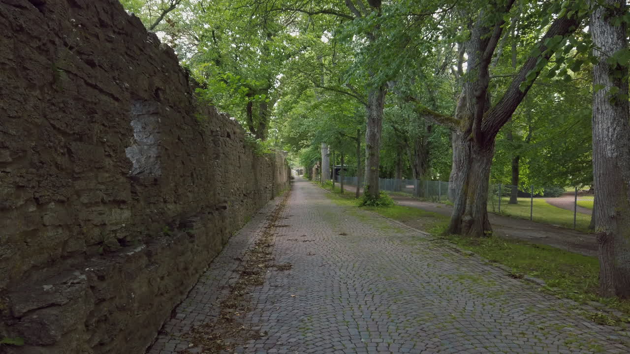 Part of Visby City Wall next to paved street and green trees