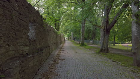 part of visby city wall next to paved street and green trees