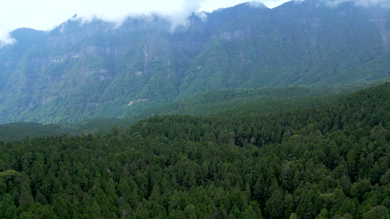 Majestic mountain and lush forest view at Alishan National Forest, Taiwan