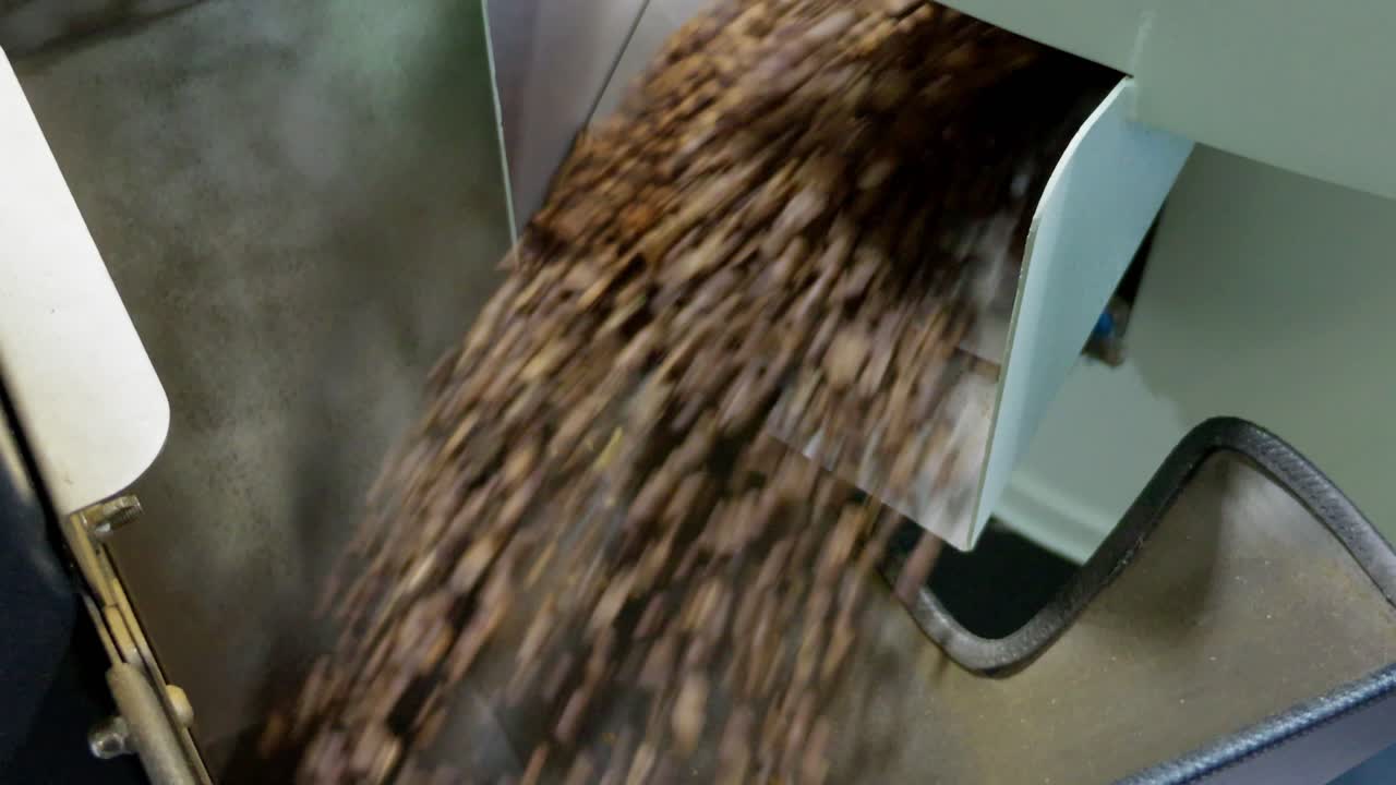 Watch coffee beans being processed in a local roastery showcasing the intricate journey from raw to roasted.