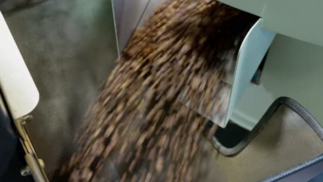 watch coffee beans being processed in a local roastery showcasing the intricate journey from raw to roasted.