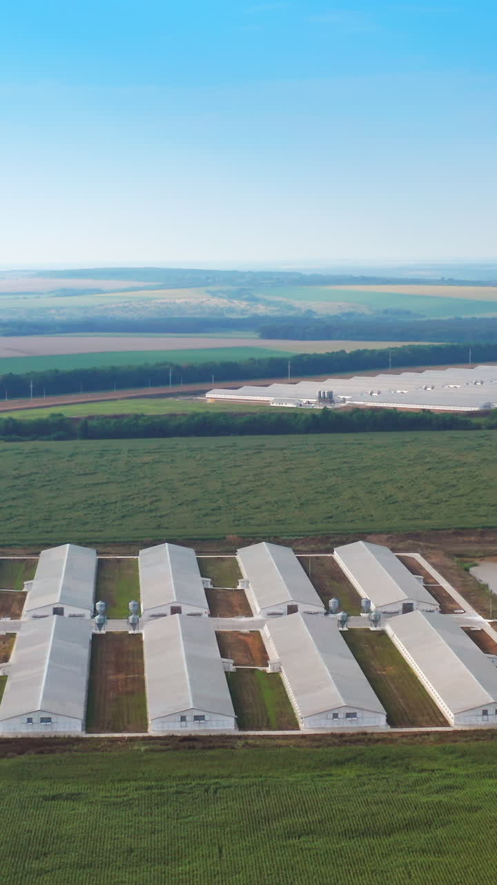 Aerial view greenhouse building. Growing fresh vegetables and fruits in big greenhouses. Vertical video