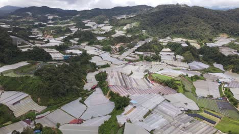 vista general del paisaje del distrito de brinchang dentro del área de cameron highlands de malasia