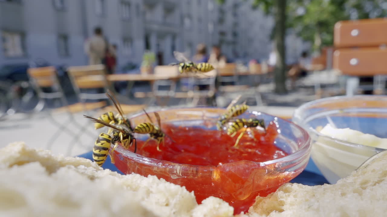 Slow motion wasps flying over bowl of jam on table outside in summer. People in background. Macro insects in city