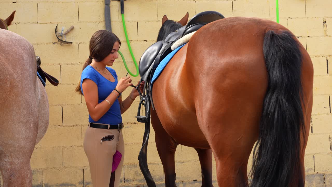 Young woman adjusting saddle straps on horse at stable before riding