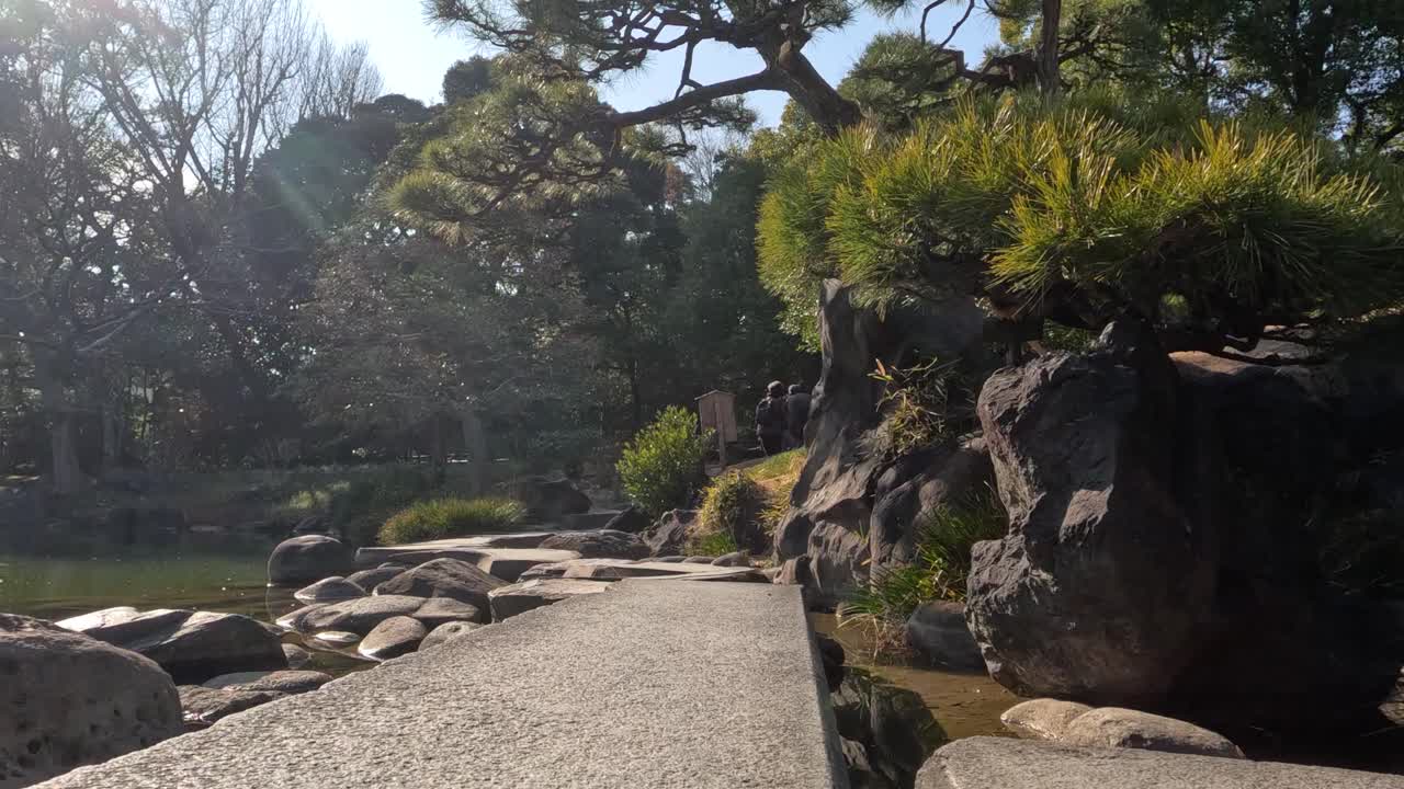 un tranquilo paseo por un pacífico jardín japonés