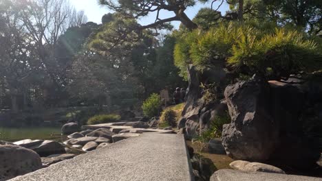 a serene walk through a peaceful japanese garden