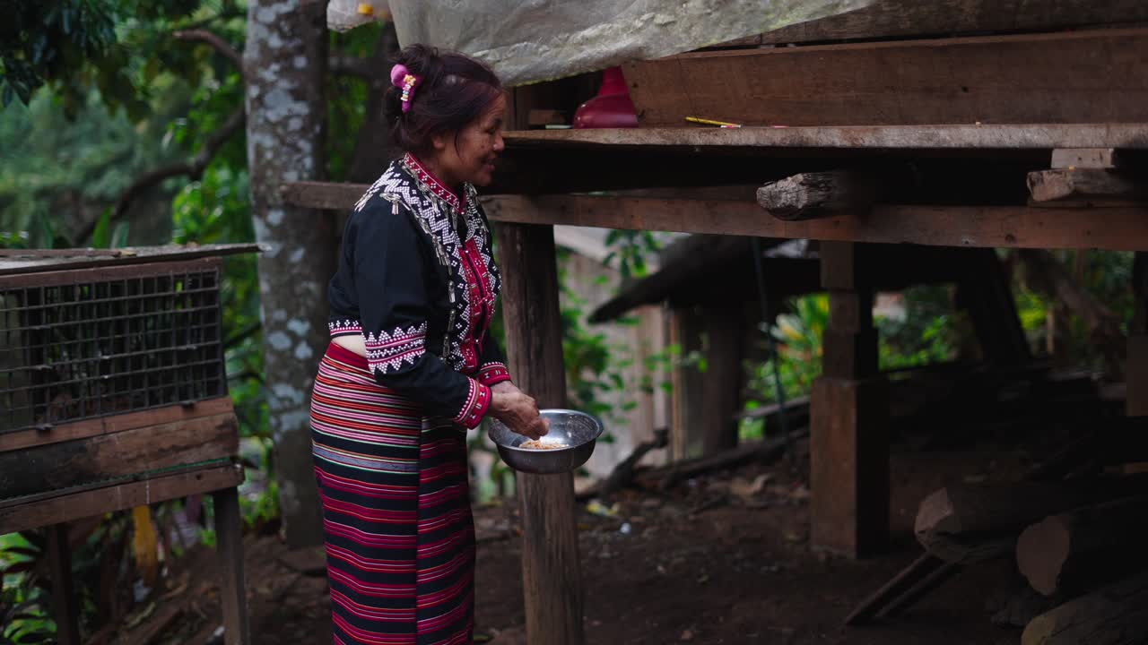 Woman in traditional clothing feeding animals