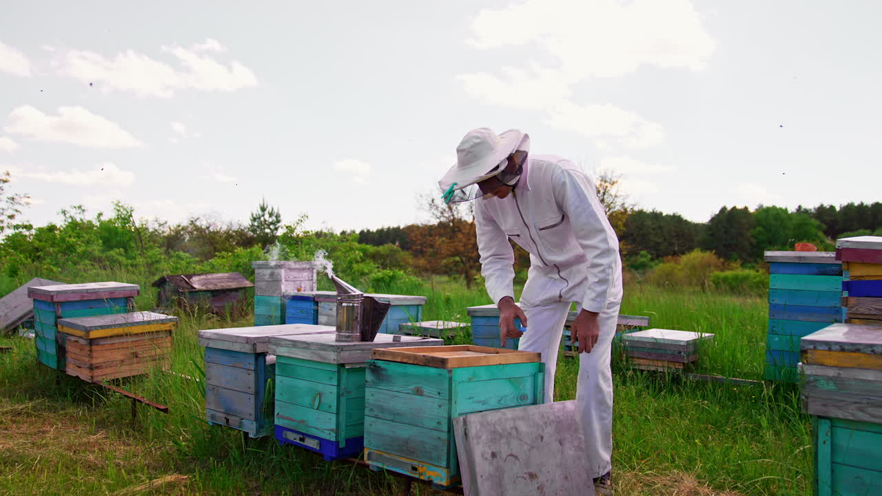Beekeeper wearing white protective clothes opens the hive, examines it and closes again. Apiarist doing check up. Bee farm backdrop.