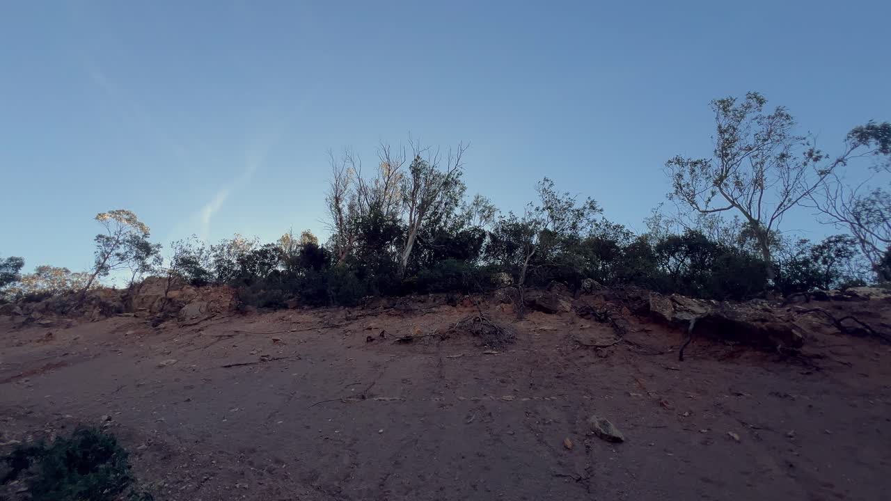 하늘을 배경으로 은 땅에서 자라는 나무와 함께 자연 풍경을 통과