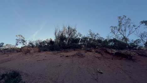 pasando por el paisaje natural con árboles que crecen desde el suelo estrecho contra un telón de fondo del cielo