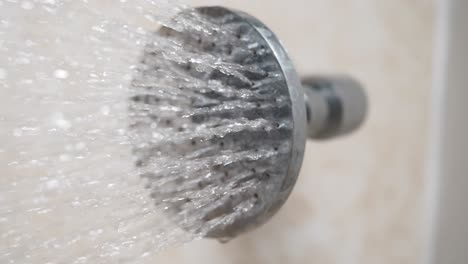 shower water spray
