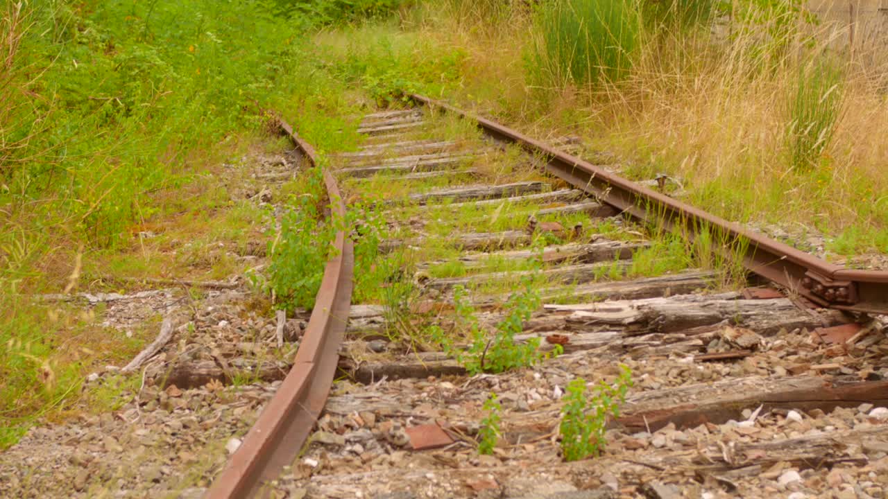 Closeup shot of abandoned train rack with newly grown plants on it