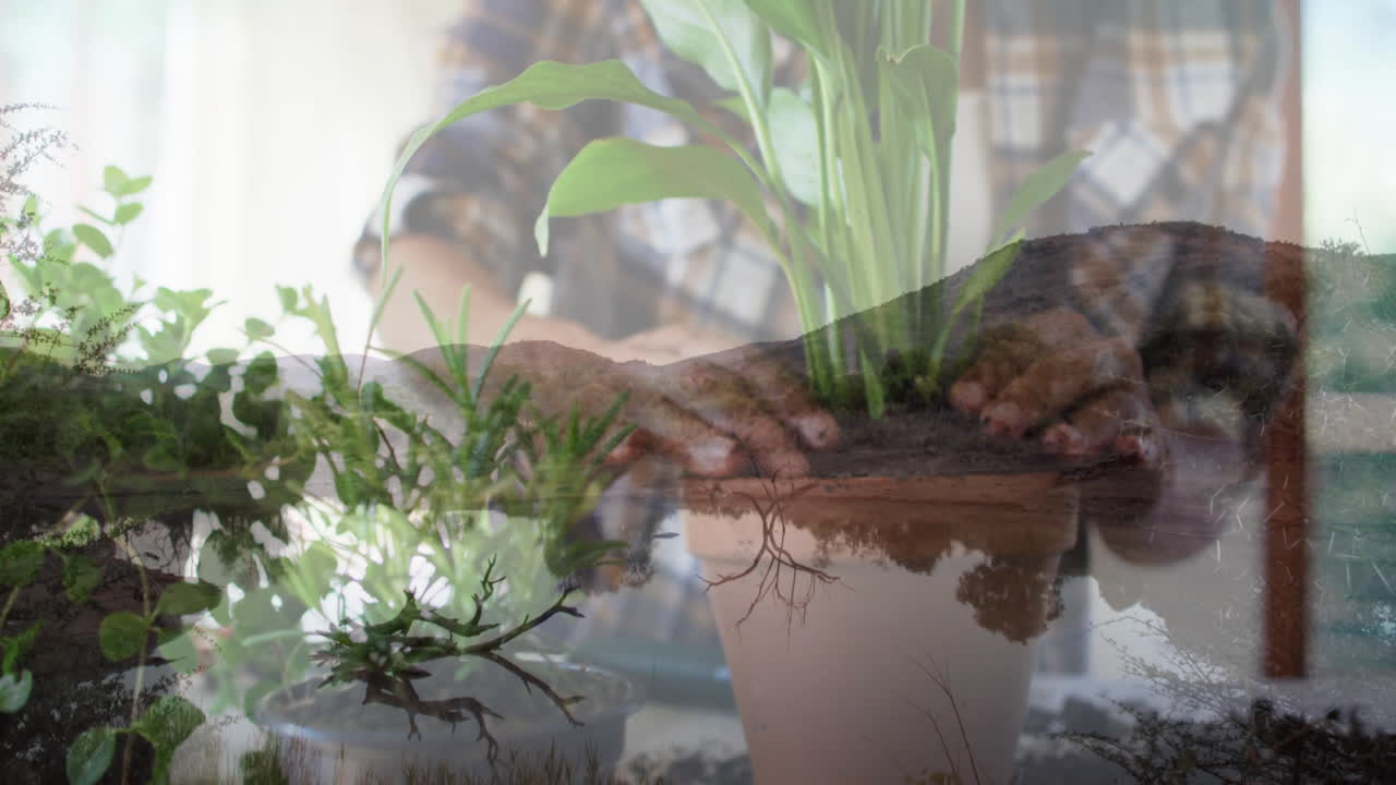 Tending potted plants, hands overlaying serene landscape animation in garden