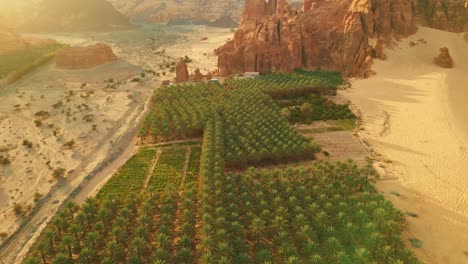 fly above green palm trees oasis, yellow sand and orange stone mountain in desert