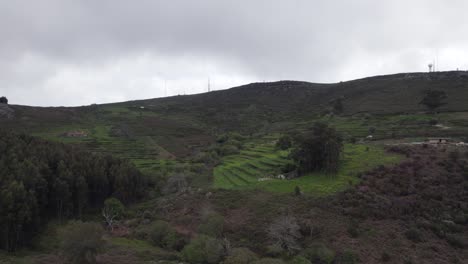 Vista-Aérea-Acercándose-A-Monchique-Terrazas-De-Cultivos-Agrícolas-Y-Prístinas-Y-Exuberantes-Laderas-De-Tierras-De-Cultivo-De-Portugal