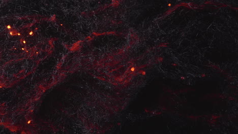 fire spreads through the igniting steel wool forming like strands of neurons in the brain