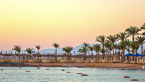 Timelapse-of-moving-palm-trees-on-a-early-morning-on-a-Egyptian-beach