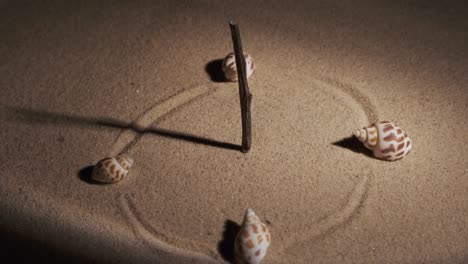 rotación. estilizado para un reloj de sol. palo, rayo de sol y conchas marinas en la arena